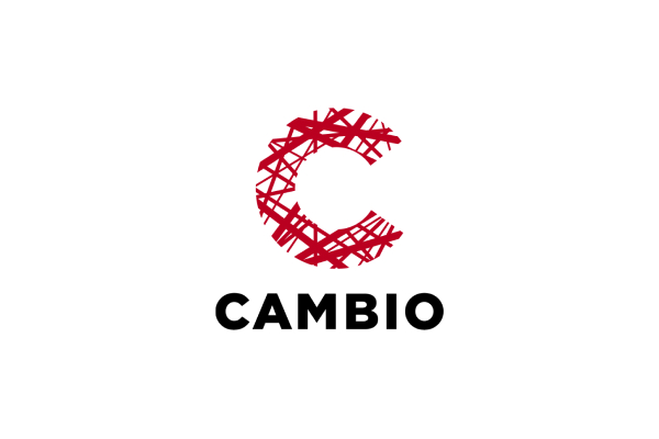 Cambio template